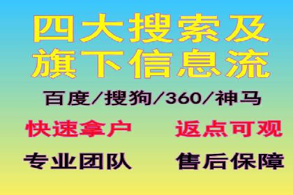 探索SEM代运营公司的经典案例与策略